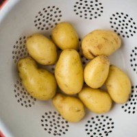 Potatoes | http://todays-picks.store