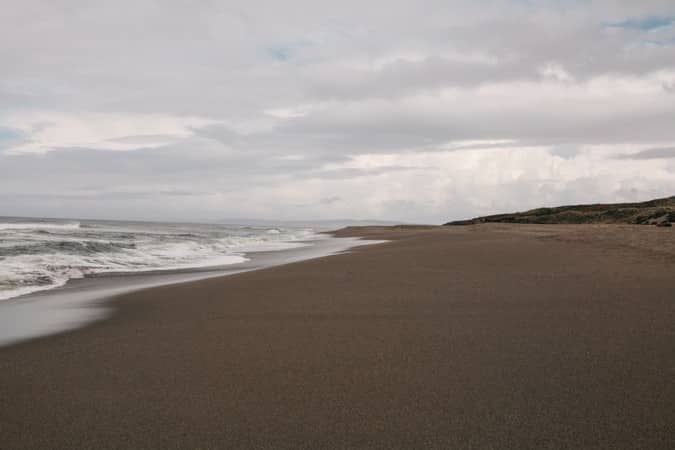 Picnic Ideas + Point Reyes National Seashore 