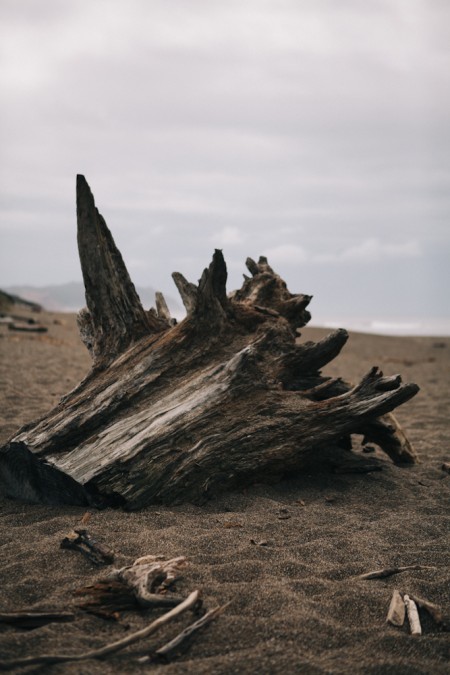Picnic Ideas + Point Reyes National Seashore 