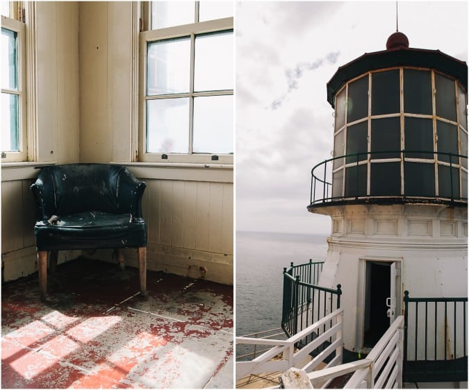 Picnic Ideas + Point Reyes National Seashore 