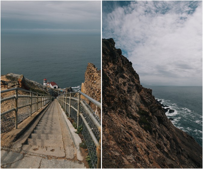 Picnic Ideas + Point Reyes National Seashore 