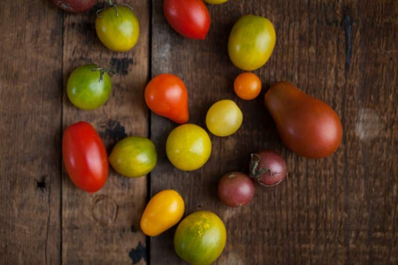 Base Recipe: Frittata Frittata ideas + recipes