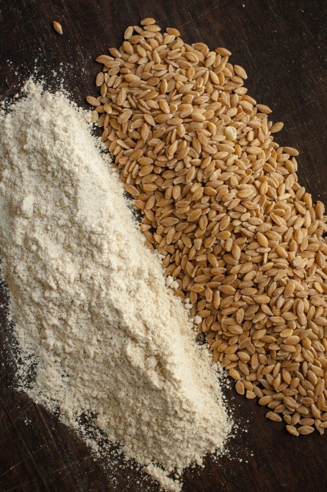 Einkorn