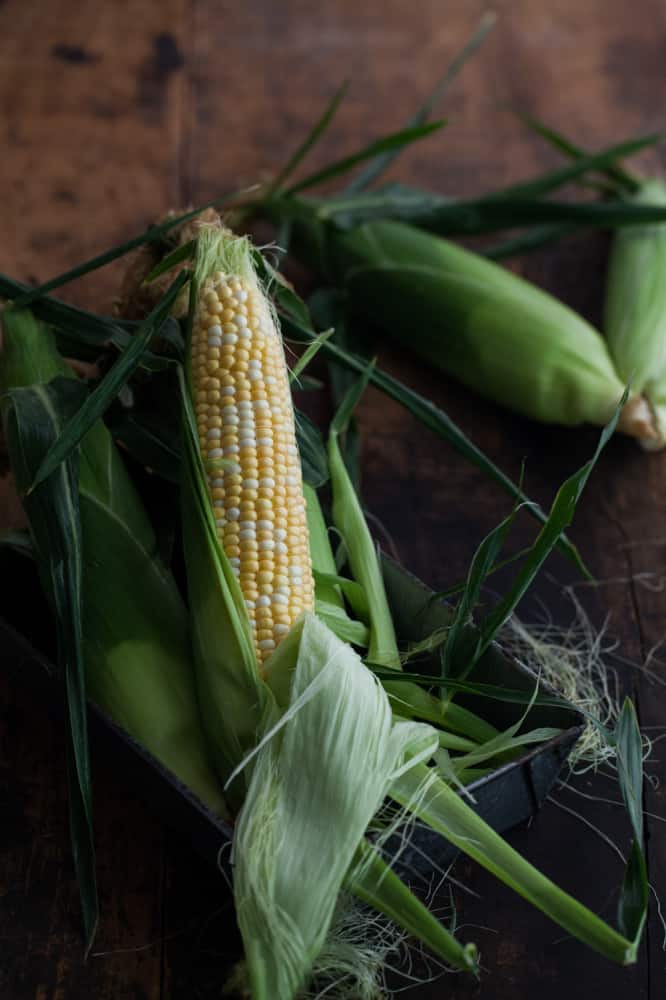 Sweet Corn