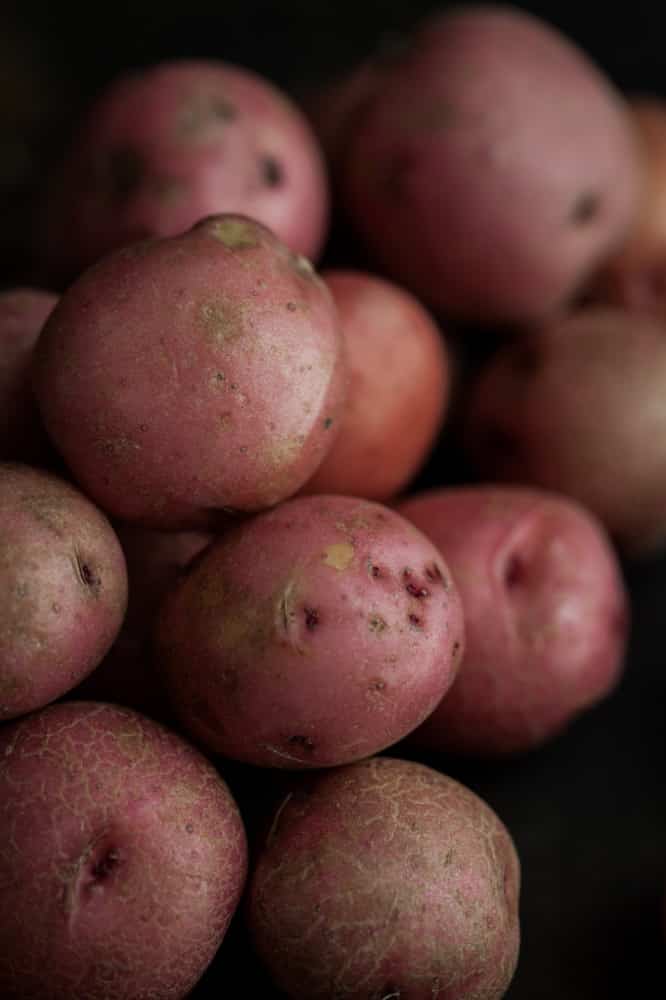 Red Potatoes