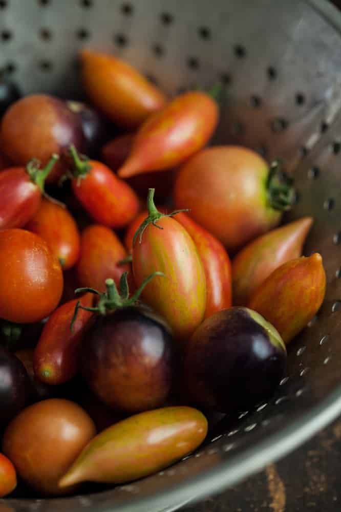 Tomatoes