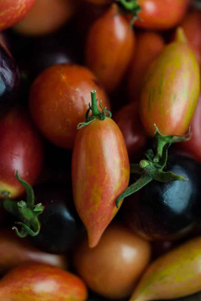 Tomatoes