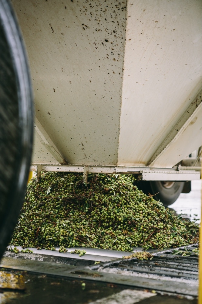 California Olive Ranch | @naturallyella