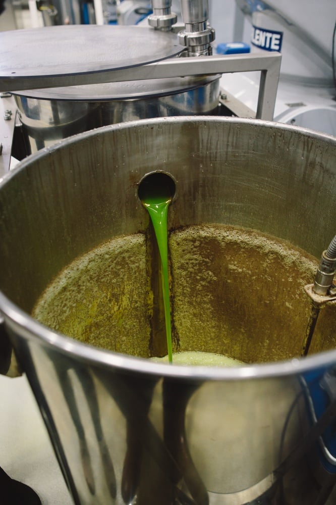 California Olive Ranch | Fresh Olive Oil | @naturallyella