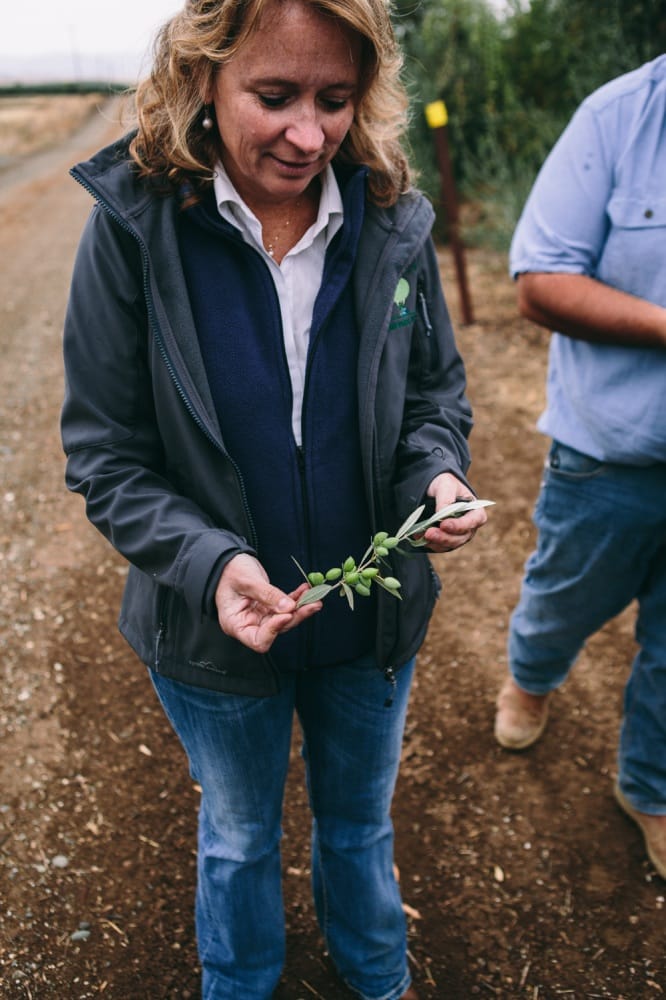 California Olive Ranch Olive Oil Tour | @naturallyella
