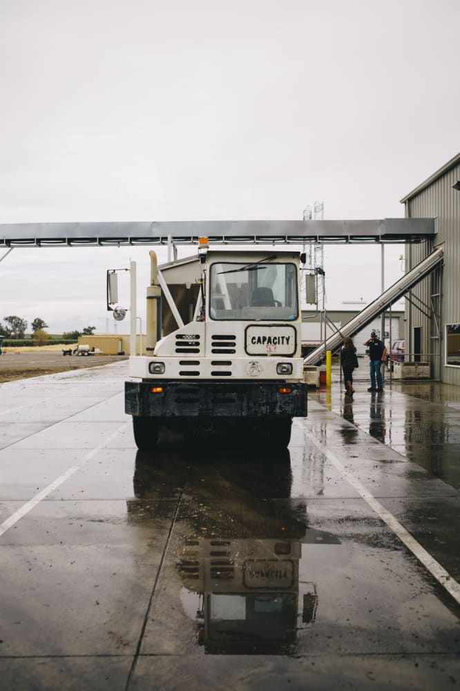 California Olive Ranch | @naturallyella