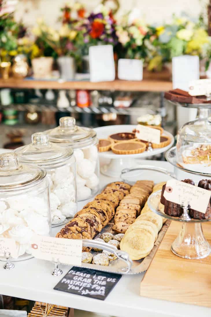 The London Plane, Seattle | @naturallyella