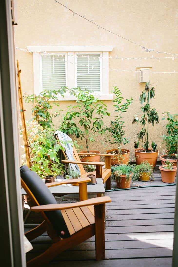 Patio Container Garden