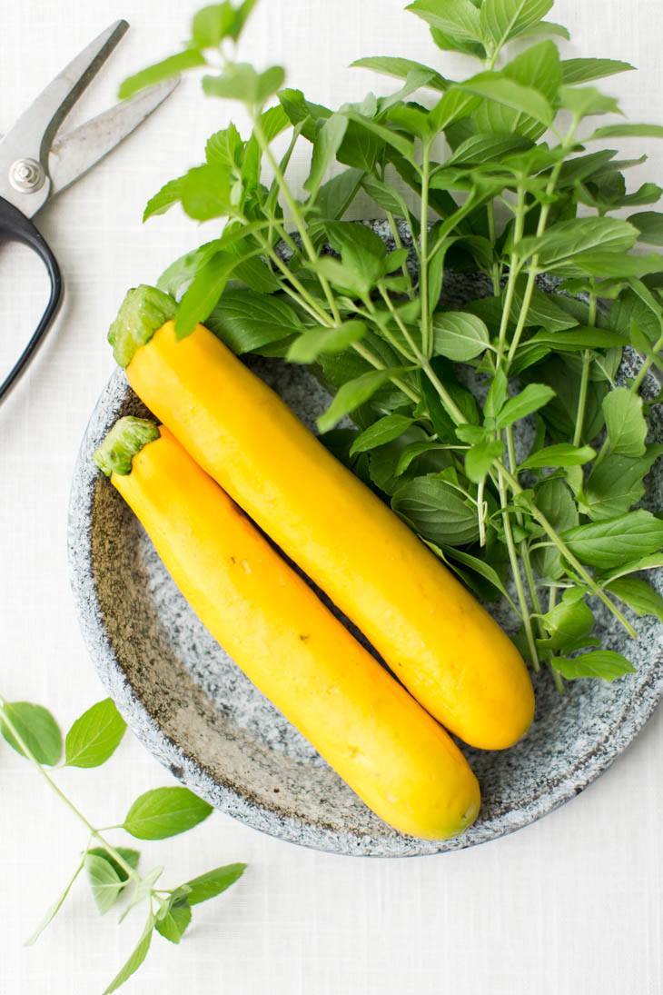 Summer Squash and Basil | http://todays-picks.store