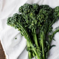 Baby Broccoli | http://todays-picks.store