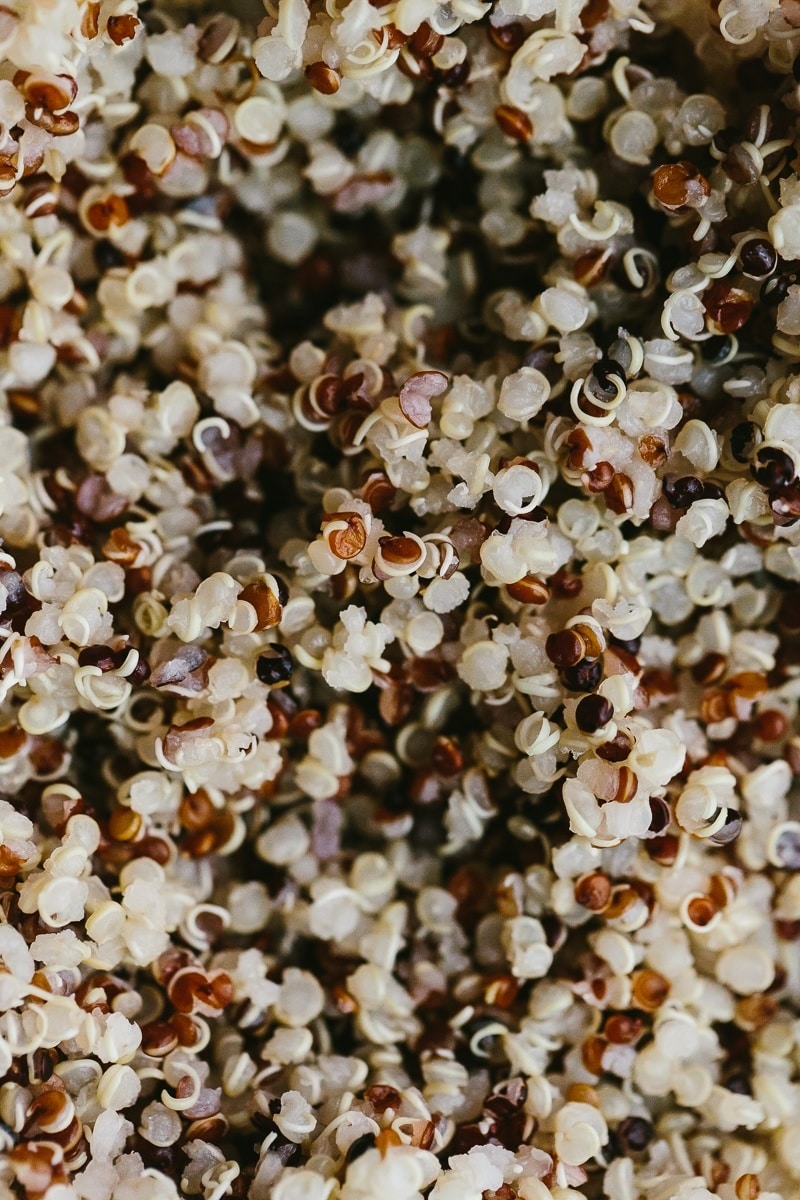 Cooked Quinoa | http://todays-picks.store