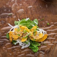 Delicata Squash Spring Rolls with Spinach