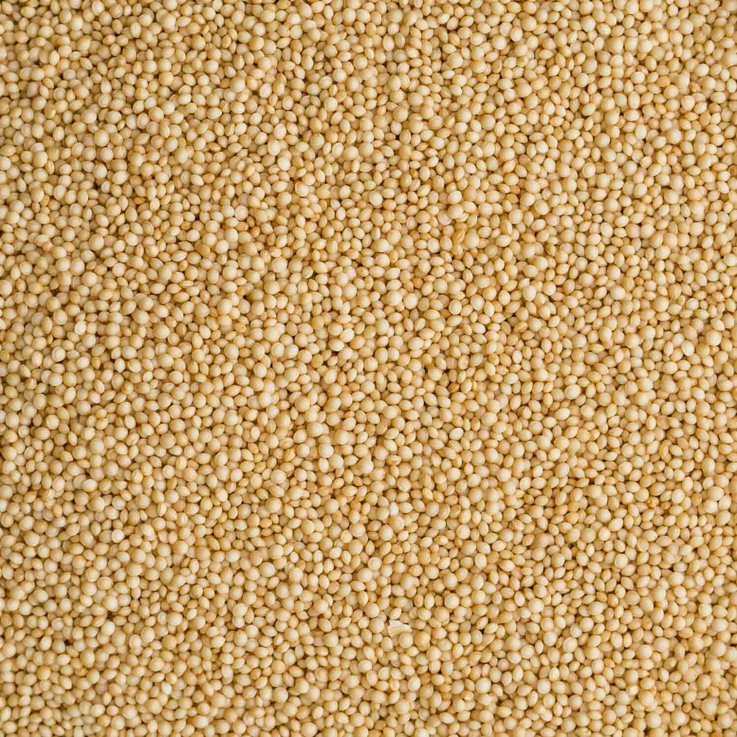 Amaranth