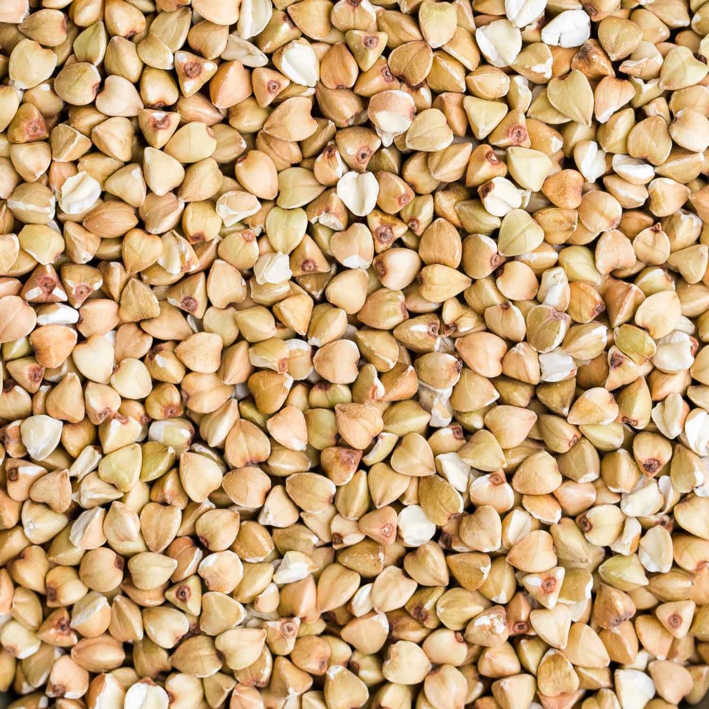 Buckwheat