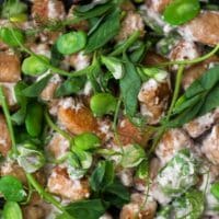 Spelt Gnocchi with Fava Beans and Walnut Cream Sauce | Naturally Ella