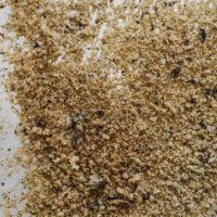 Overhead shot of homemade breadcrumbs on a sheet tray.