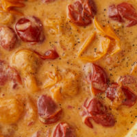 Close-up image of a sauce with tomatoes and parmesan.
