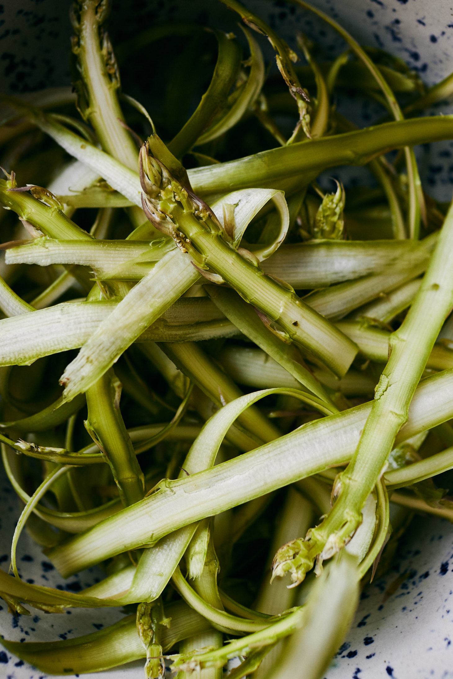 Close-up of shaved asparagus